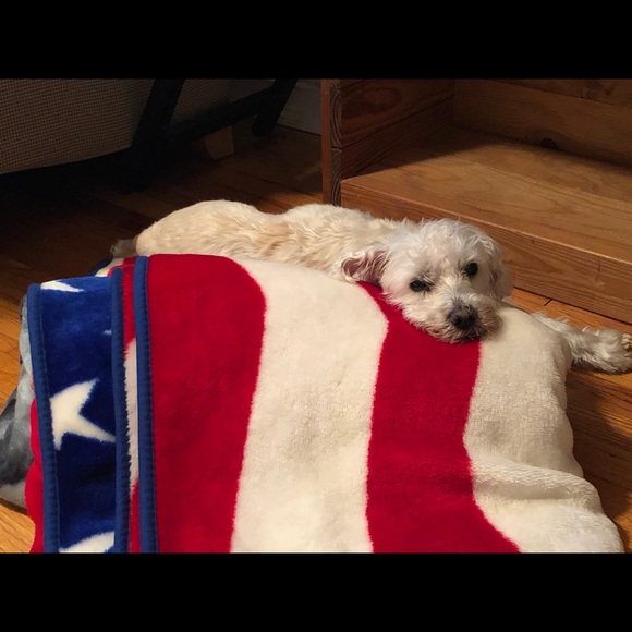 Meet your Posher, Eric - Picture 7 of 11